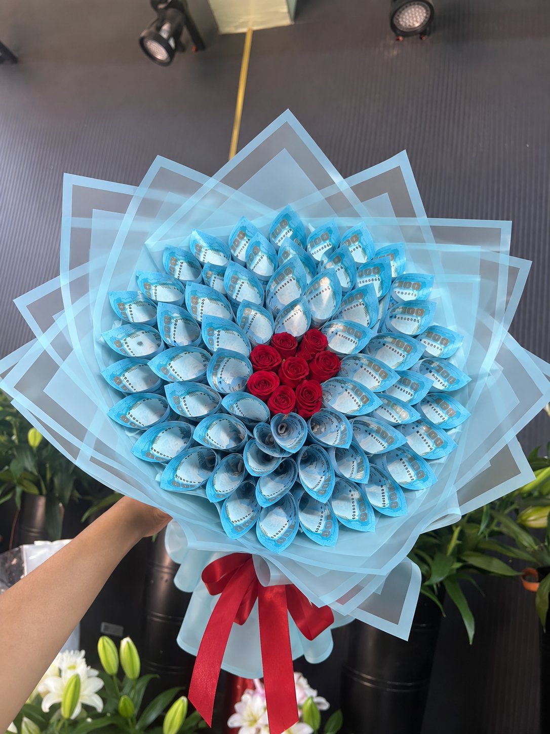 Red Heart, Blue Dreams